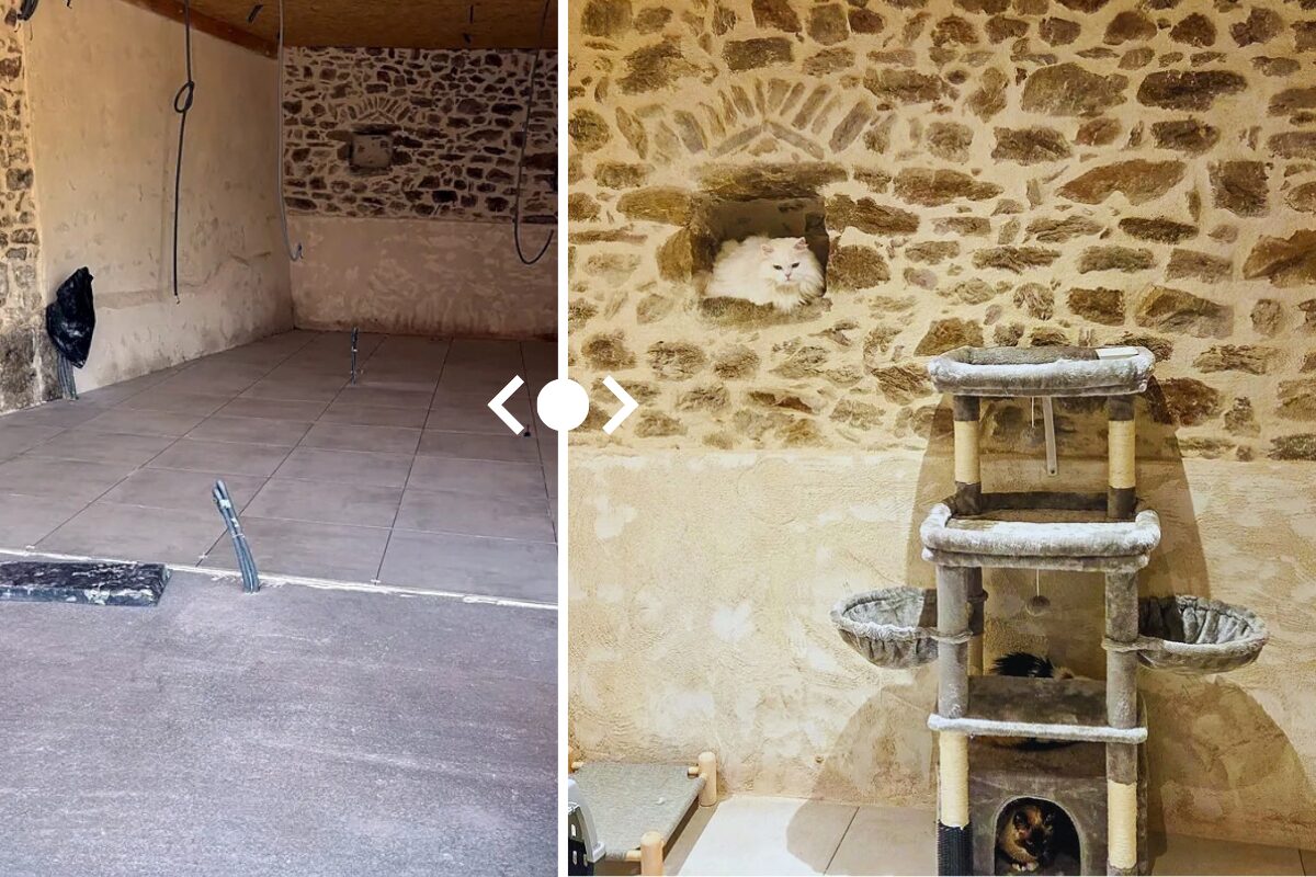  Zone de convalescence en pierre apparente pendant la pose du carrelage / Zone de convalescence terminée avec un arbre à chat dans une pension pour chats